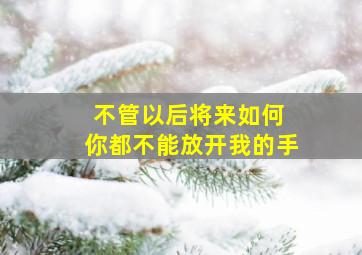 不管以后将来如何 你都不能放开我的手